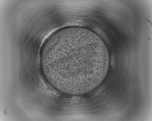 X0000102460388200808291547