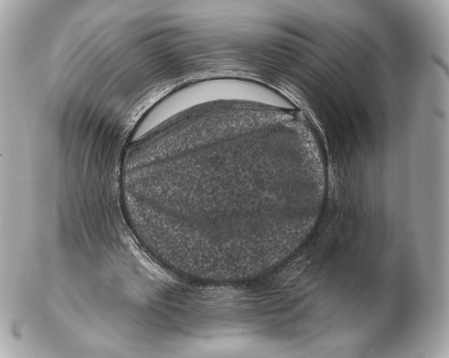 X0000102460389200808291547