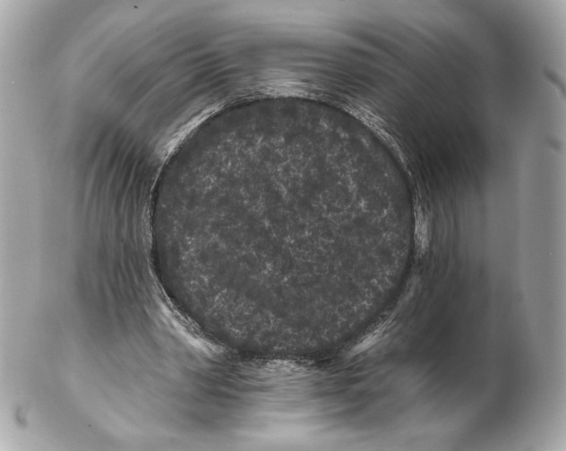 X0000102460390200808291547