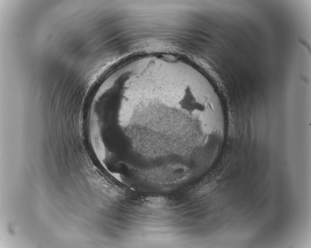 X0000102460391200808291547