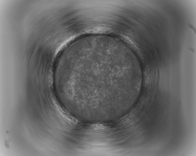 X0000102460392200808291547