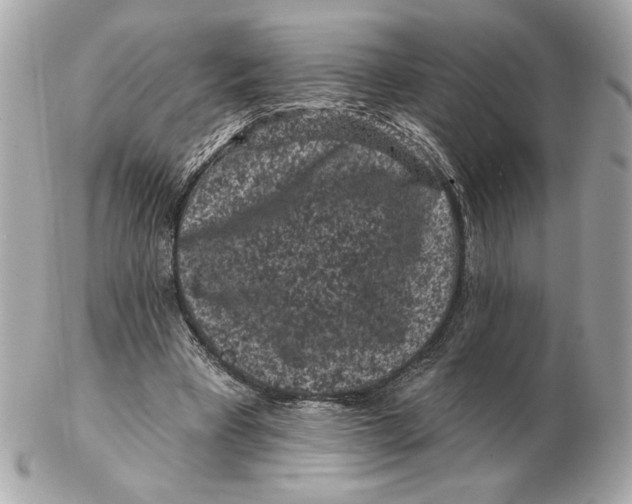 X0000102460393200808291547