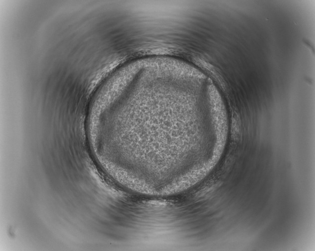 X0000102460394200808291547