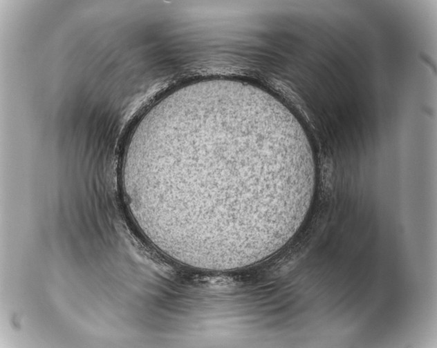 X0000102460395200808291546