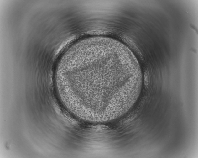 X0000102460396200808291546