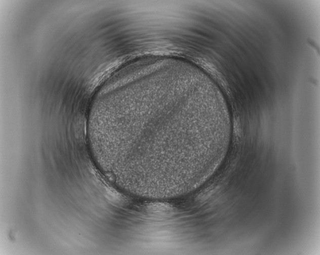 X0000102460397200808291546