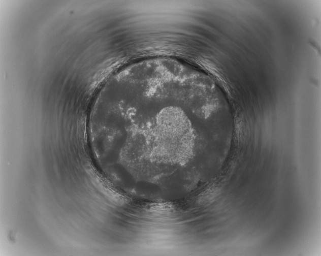 X0000102460398200808291546