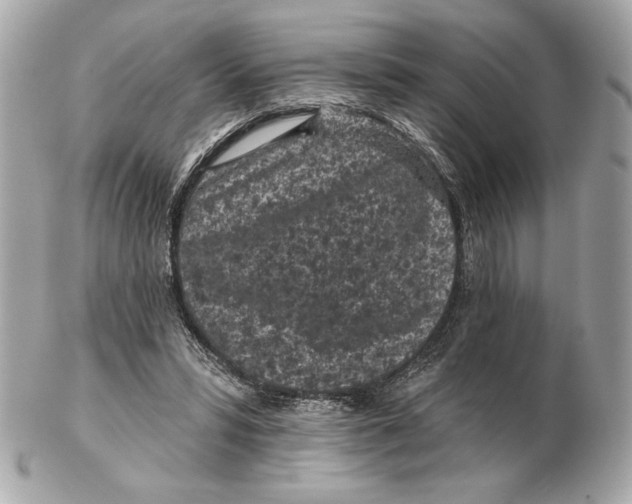 X0000102460399200808291546