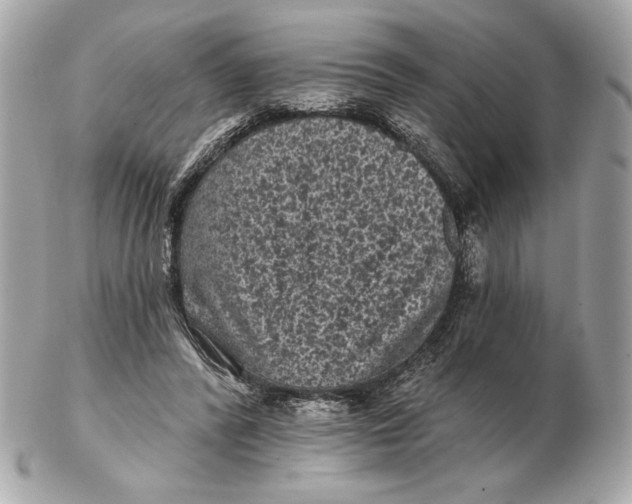 X0000102460400200808291546