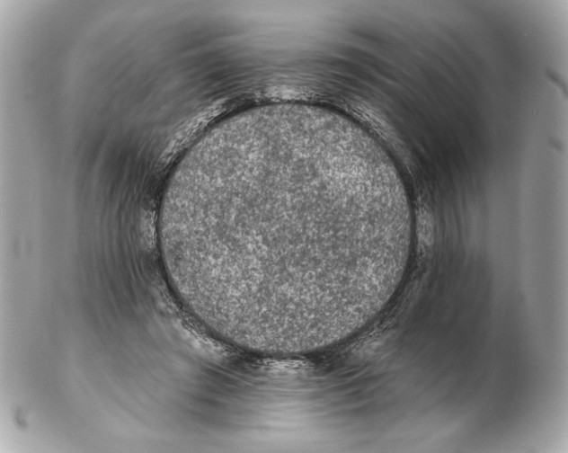 X0000102460401200808291546