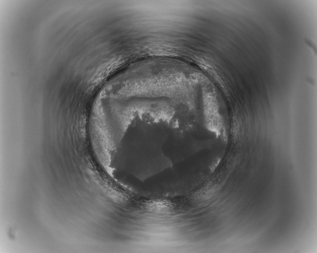 X0000102460402200808291546