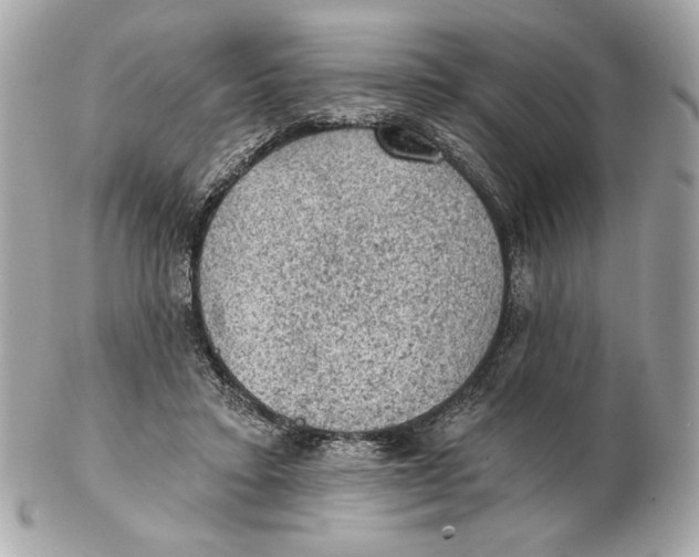 X0000102460403200808291546