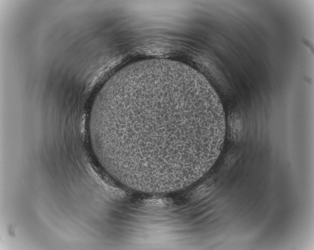X0000102460404200808291546