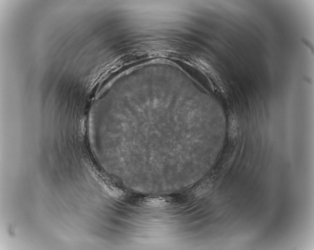 X0000102460405200808291546