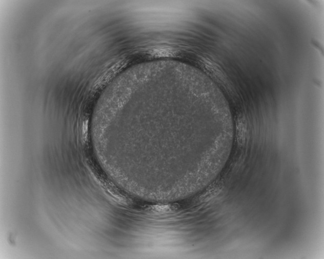 X0000102460406200808291546