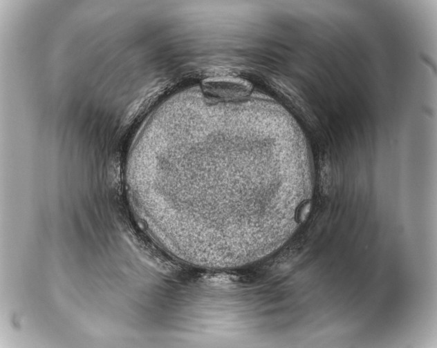 X0000102460407200808291546