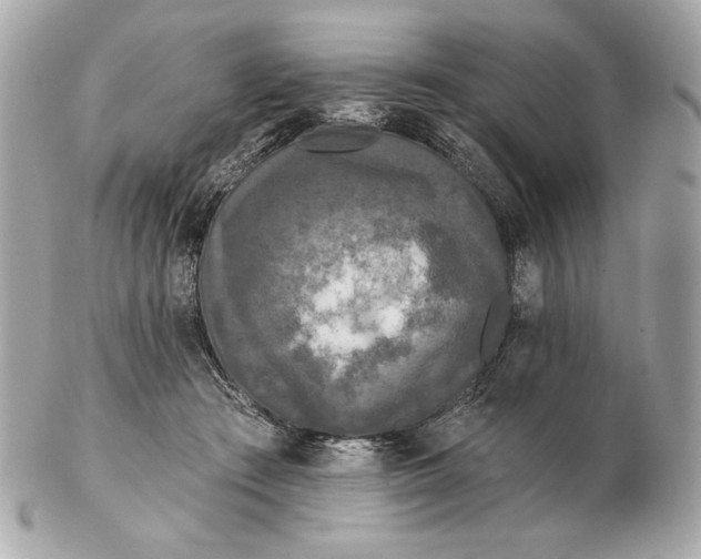 X0000102460409200808291546