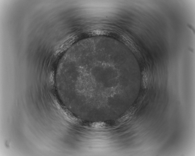 X0000102460410200808291546