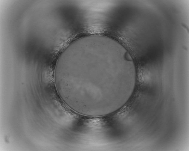 X0000102460411200808291546
