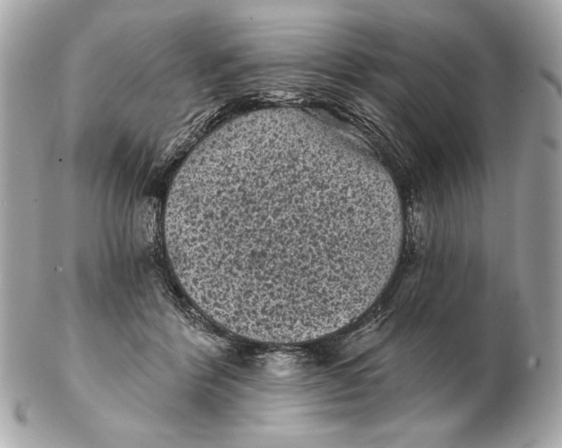 X0000102460412200808291546