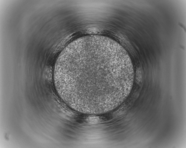 X0000102460413200808291546