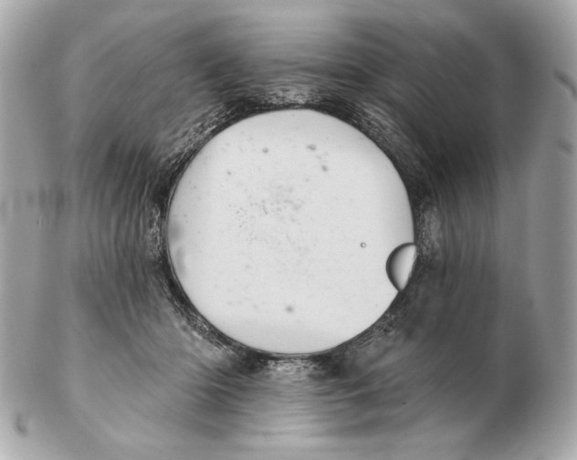 X0000102460414200808291546