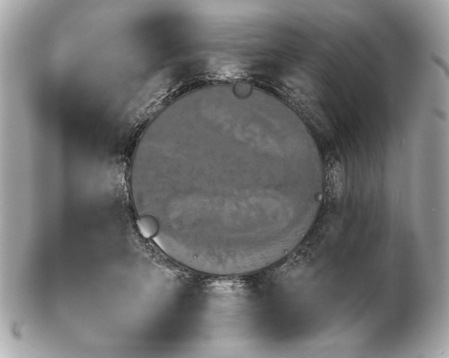 X0000102460415200808291546