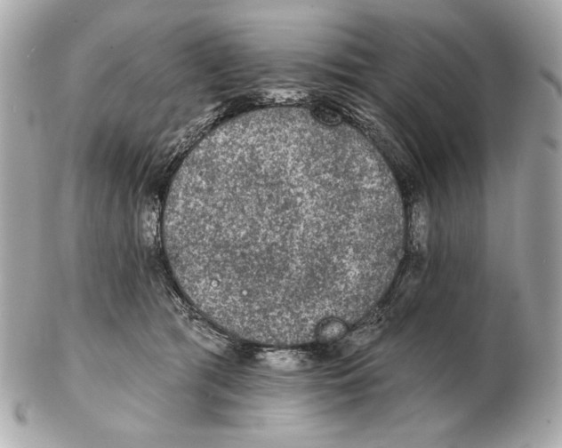 X0000102460417200808291546