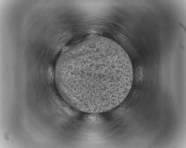 X0000102460420200808291546