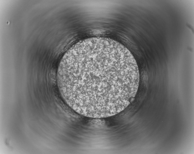 X0000102460421200808291546