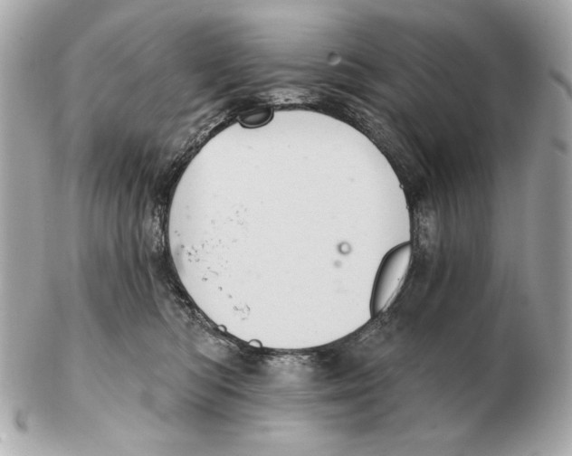 X0000102460422200808291546