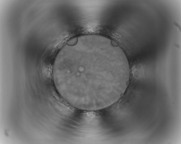 X0000102460423200808291546