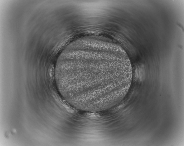 X0000102460424200808291546