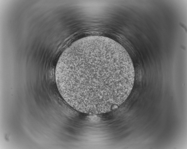 X0000102460425200808291546