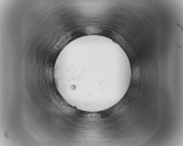 X0000102460426200808291546