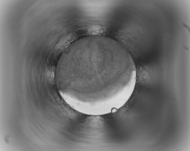 X0000102460427200808291546