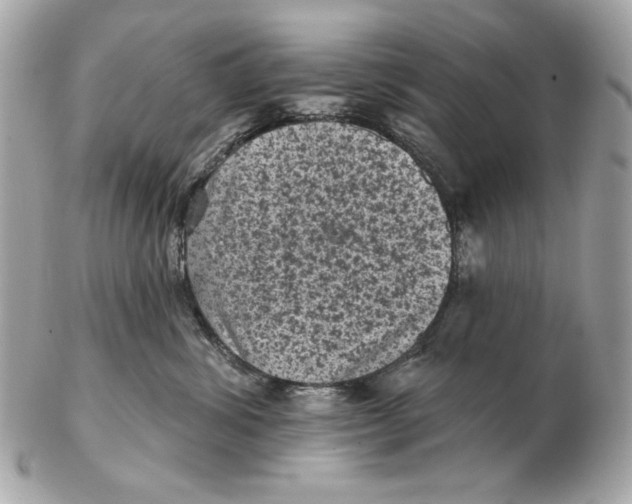 X0000102460428200808291546