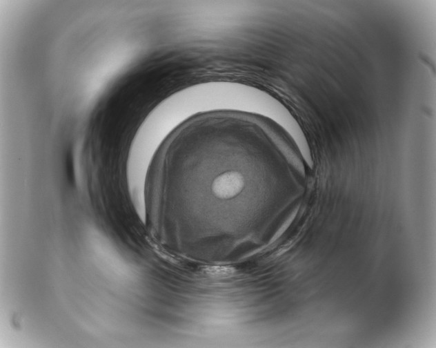 X0000102460429200808291546