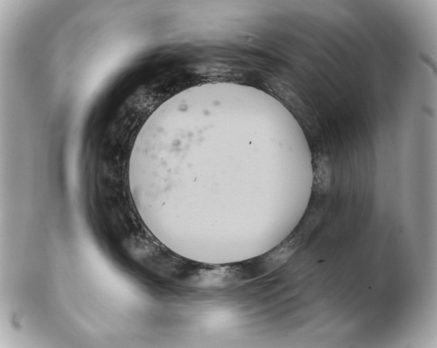 X0000102460430200808291546