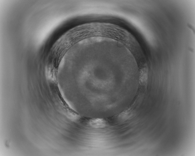X0000102460431200808291546