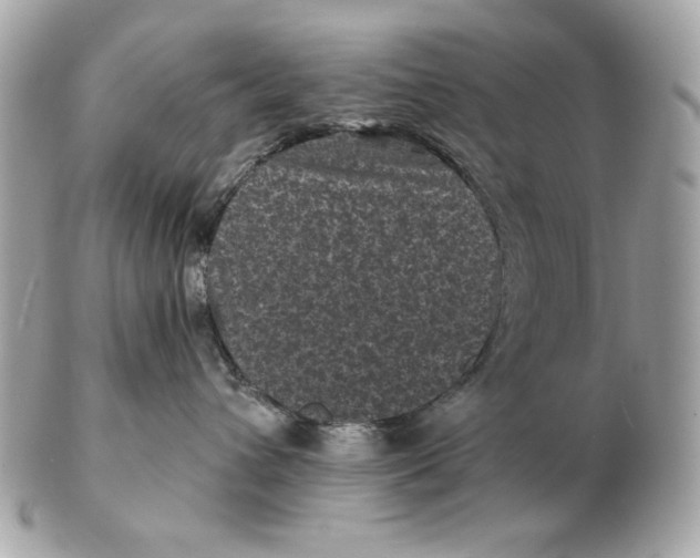X0000102460432200808291546