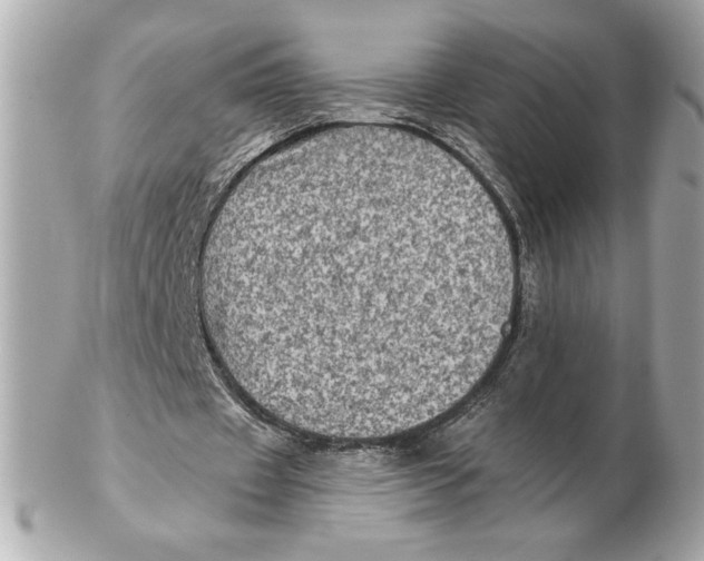 X0000102460433200808291545