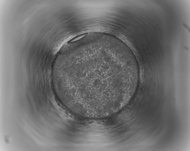 X0000102460434200808291545