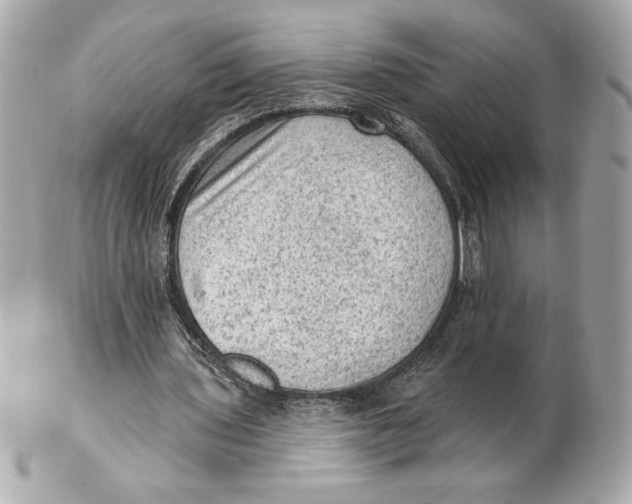 X0000102460435200808291545