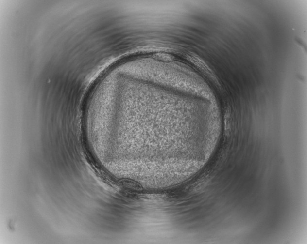 X0000102460436200808291545