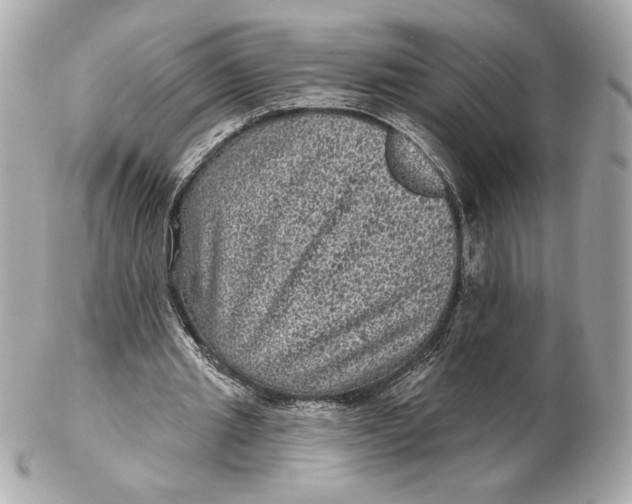 X0000102460437200808291545