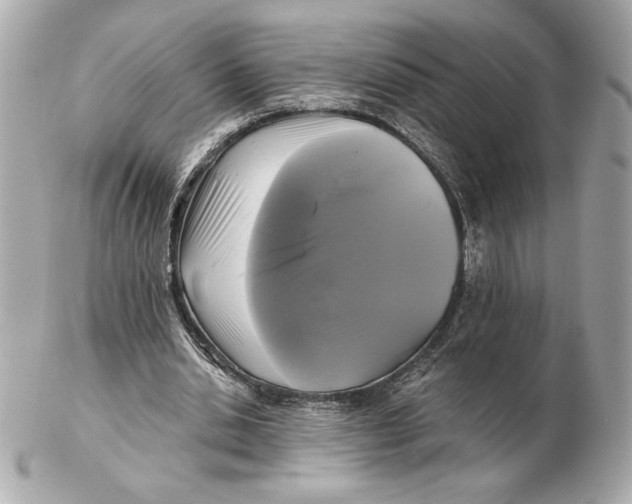 X0000102460438200808291545