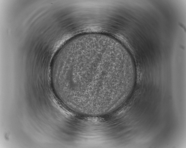 X0000102460439200808291545