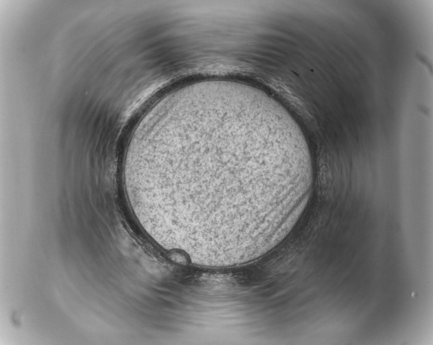 X0000102460440200808291545