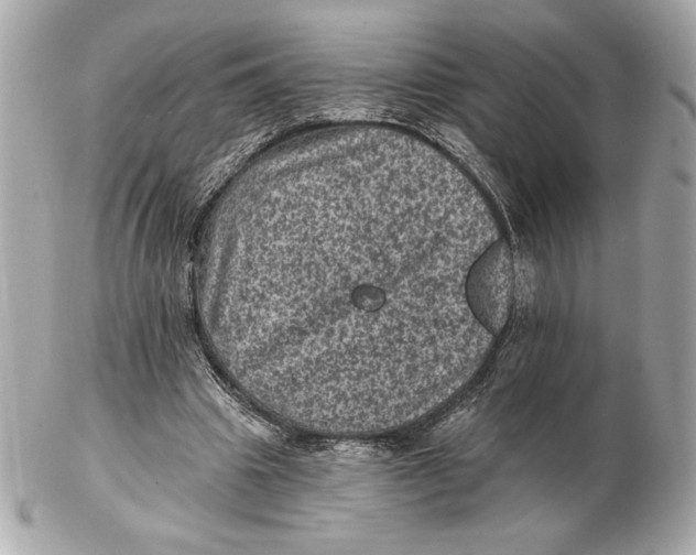X0000102460441200808291545